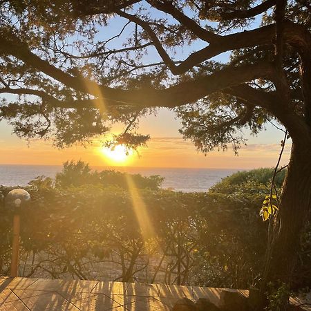 Villetta Dei Ginepri Costa Paradiso Zewnętrze zdjęcie