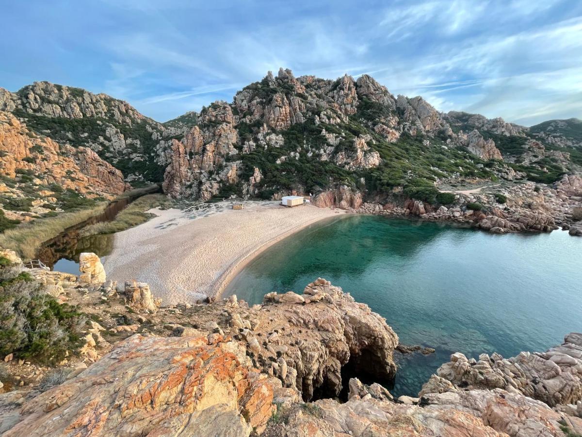 Villetta Dei Ginepri Costa Paradiso Zewnętrze zdjęcie