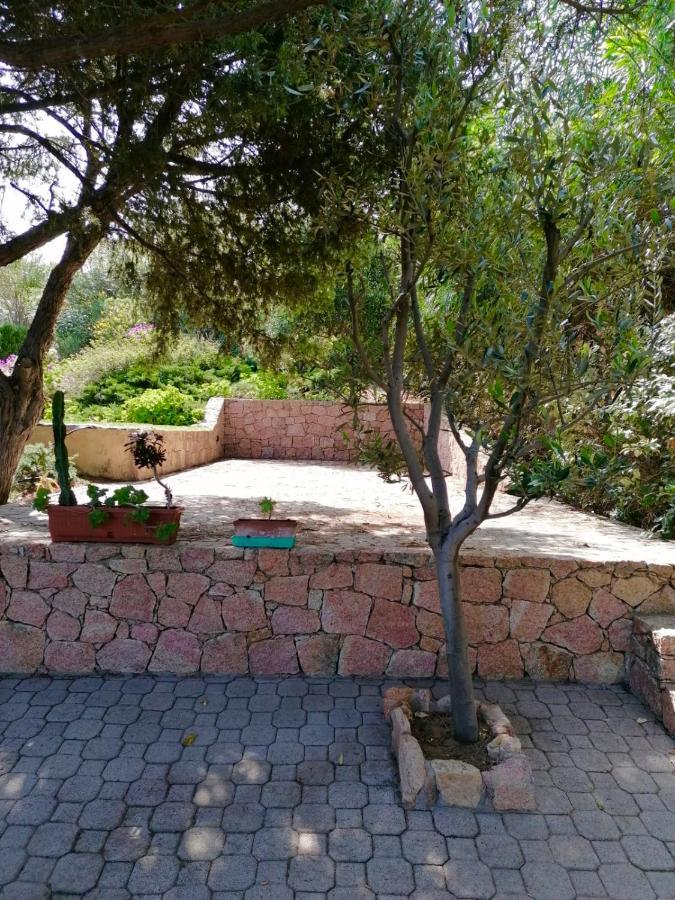 Villetta Dei Ginepri Costa Paradiso Zewnętrze zdjęcie