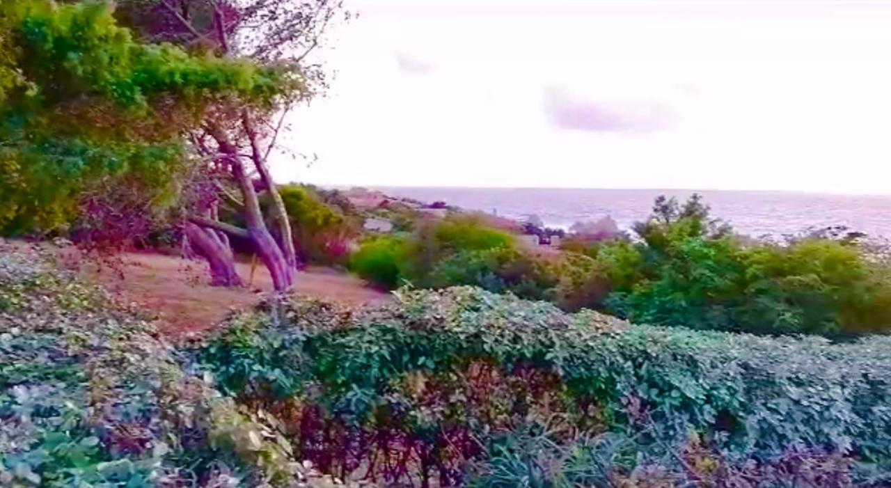 Villetta Dei Ginepri Costa Paradiso Zewnętrze zdjęcie