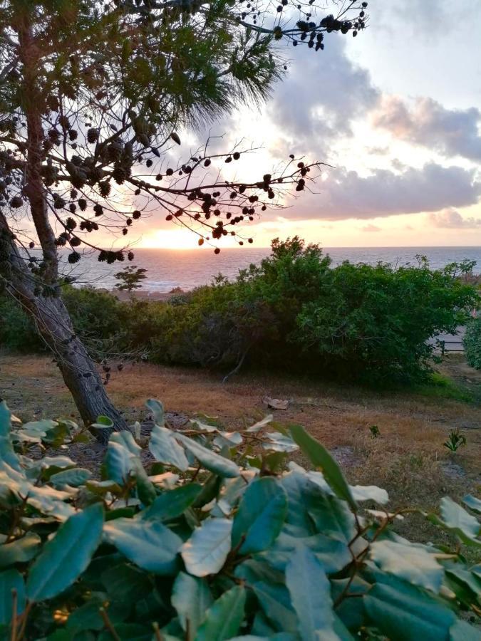 Villetta Dei Ginepri Costa Paradiso Zewnętrze zdjęcie