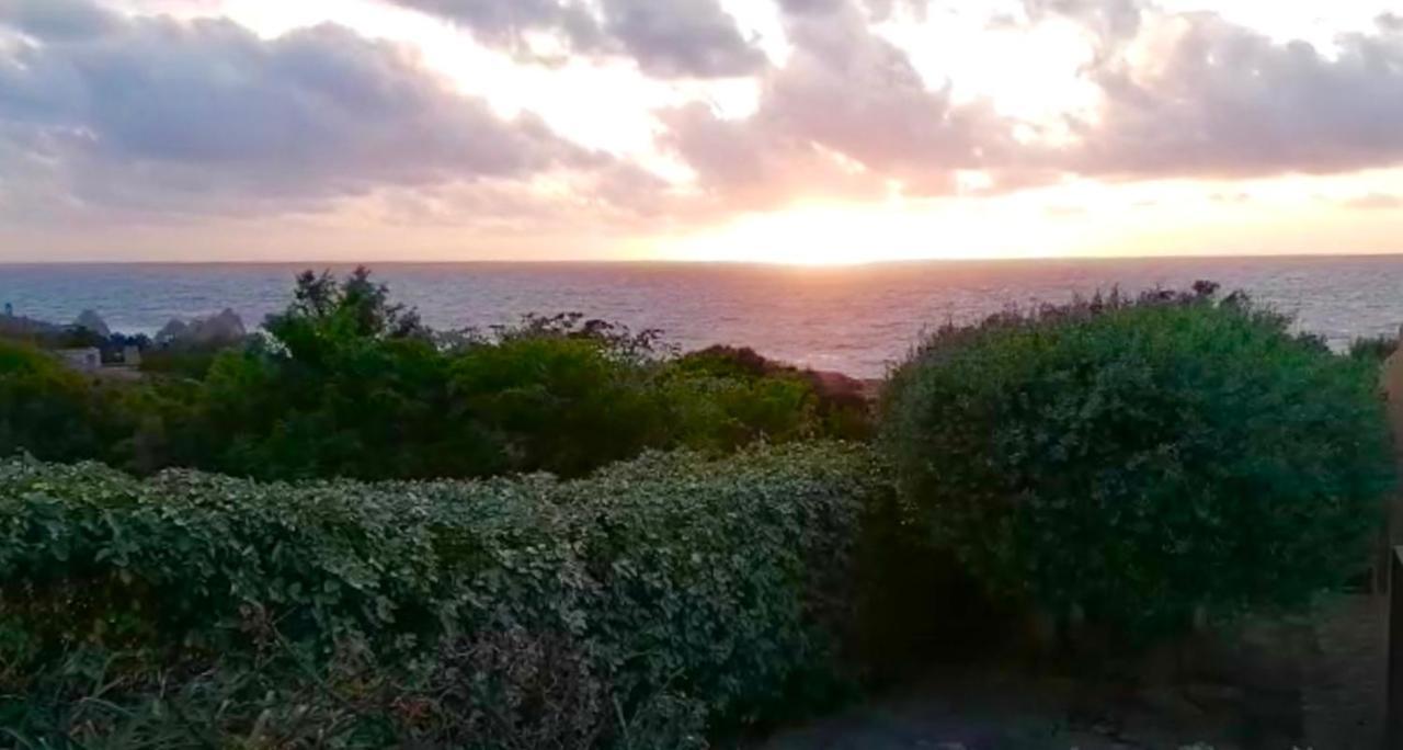 Villetta Dei Ginepri Costa Paradiso Zewnętrze zdjęcie
