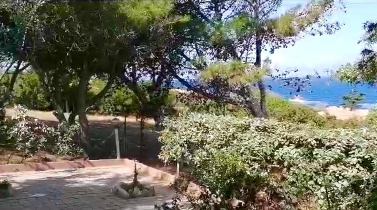 Villetta Dei Ginepri Costa Paradiso Zewnętrze zdjęcie