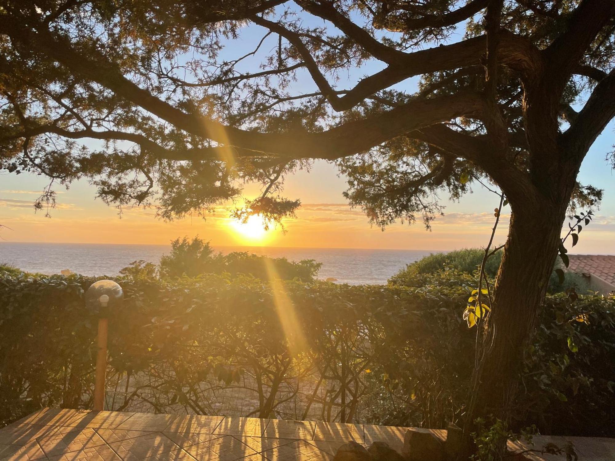 Villetta Dei Ginepri Costa Paradiso Zewnętrze zdjęcie
